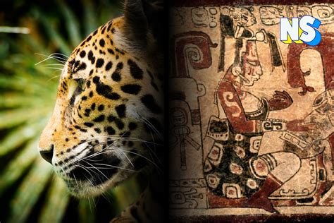  The Woman Who Married a Jaguar: A Tale of Courage, Love, and Ancient Mesoamerican Beliefs!